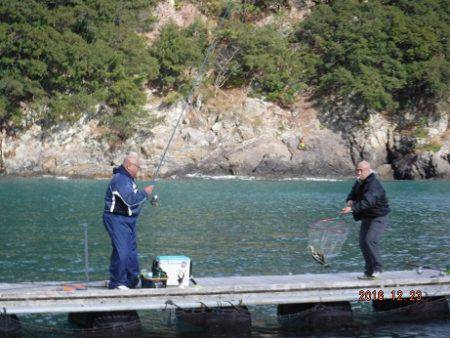 松名瀬フィッシングパーク 釣果
