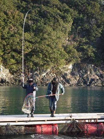 松名瀬フィッシングパーク 釣果