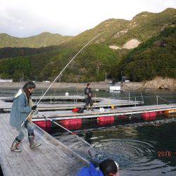 松名瀬フィッシングパーク 釣果