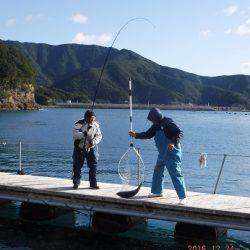 松名瀬フィッシングパーク 釣果