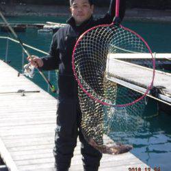 松名瀬フィッシングパーク 釣果