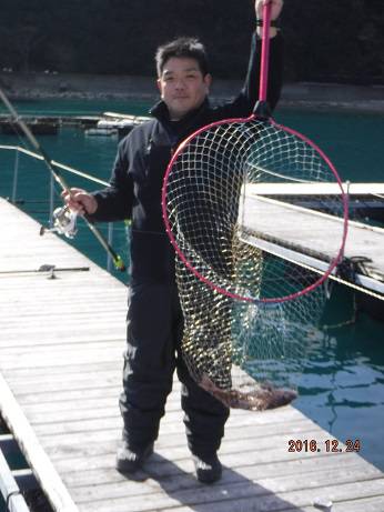 松名瀬フィッシングパーク 釣果