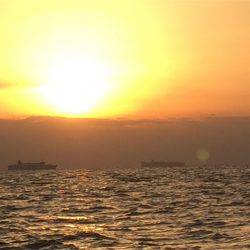 マタウマリンサービス 釣果