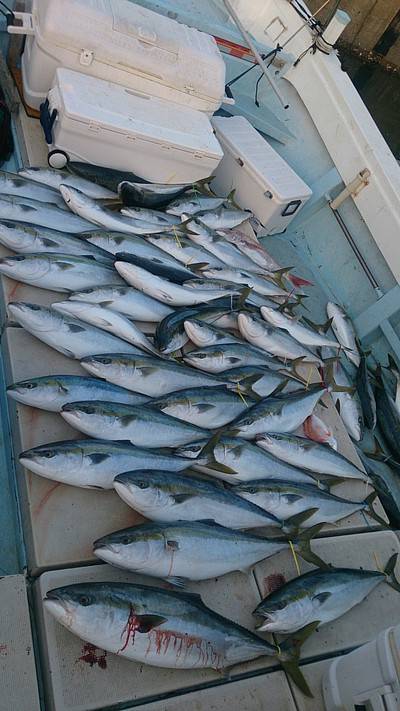 旭星釣りセンター 釣果