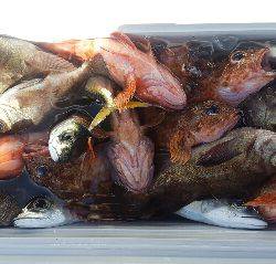 内浜丸 釣果