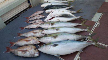 飛燕さくら丸 釣果