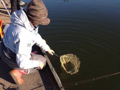 吉羽園 釣果