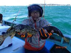 七福丸 釣果