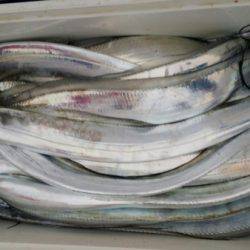 オーフリー 釣果