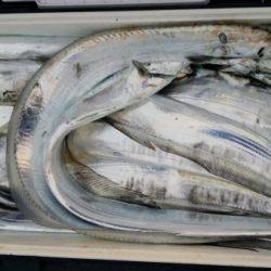 オーフリー 釣果