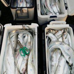 オーフリー 釣果