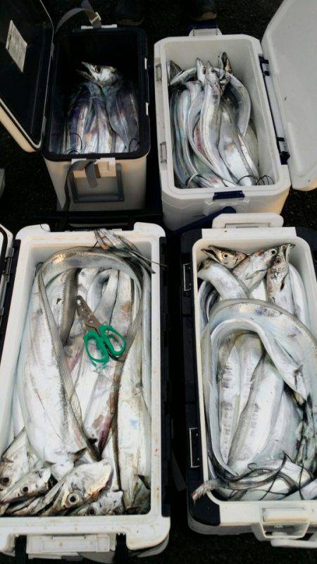 オーフリー 釣果