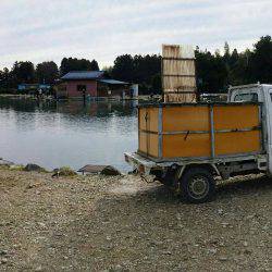 みどりフィッシングエリア 釣果