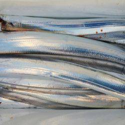 オーフリー 釣果