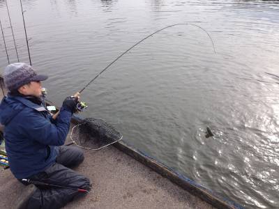 吉羽園 釣果