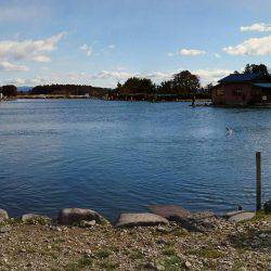 みどりフィッシングエリア 釣果