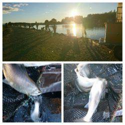 みどりフィッシングエリア 釣果