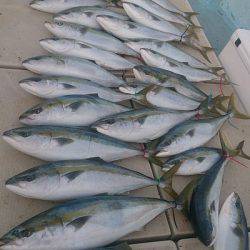 旭星釣りセンター 釣果