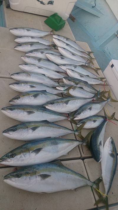 旭星釣りセンター 釣果