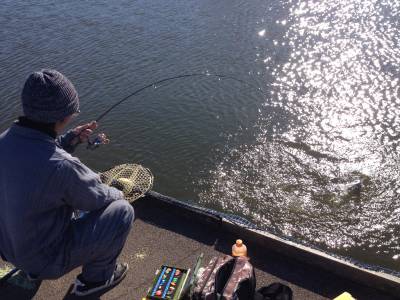 吉羽園 釣果