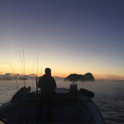 マタウマリンサービス 釣果