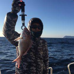 マタウマリンサービス 釣果