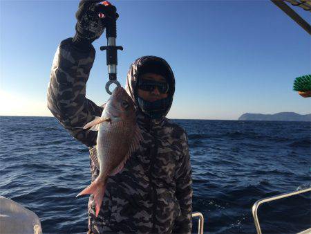 マタウマリンサービス 釣果