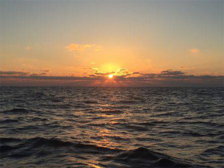 マタウマリンサービス 釣果