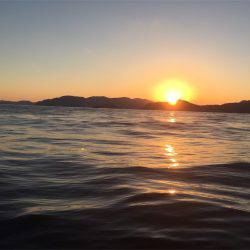 マタウマリンサービス 釣果