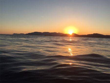 マタウマリンサービス 釣果