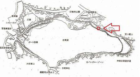 志高湖フィッシング 釣果