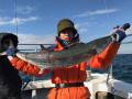 オーシャンキッズ 釣果