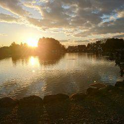 みどりフィッシングエリア 釣果