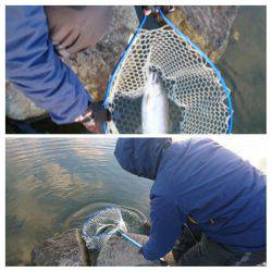 みどりフィッシングエリア 釣果