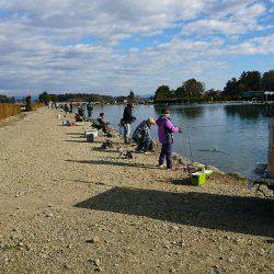 みどりフィッシングエリア 釣果