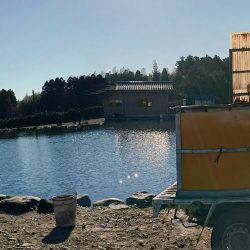 みどりフィッシングエリア 釣果