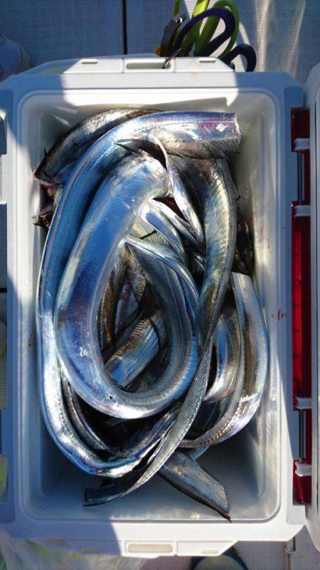 オーフリー 釣果