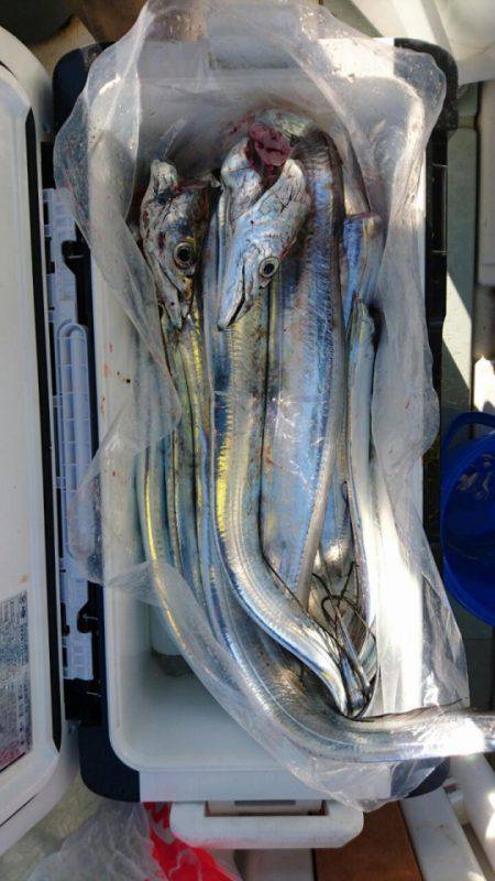 オーフリー 釣果