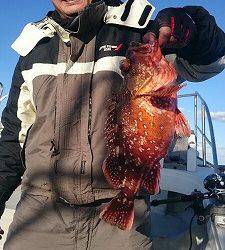 海龍丸(福岡) 釣果