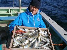 七福丸 釣果