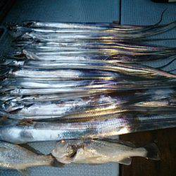 第二常豊丸 釣果