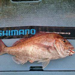 第二常豊丸 釣果