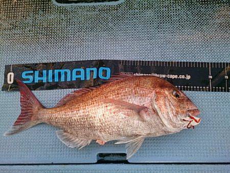 第二常豊丸 釣果