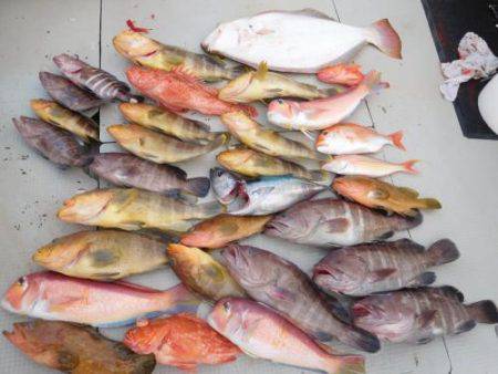 第二一之紀丸（ダイニイチノキマル） 釣果