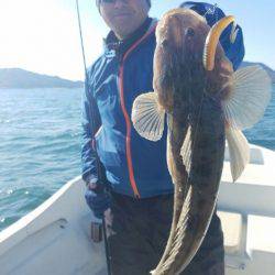 Magic(マジック) 釣果