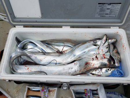 遊漁船　ニライカナイ 釣果