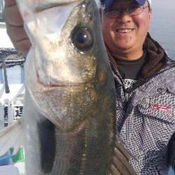 東京湾探釣隊ぼっち 釣果