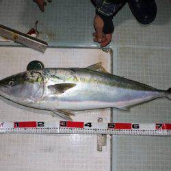 スカイマリン 釣果