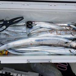 遊漁船 ニライカナイ 釣果