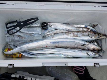 遊漁船 ニライカナイ 釣果